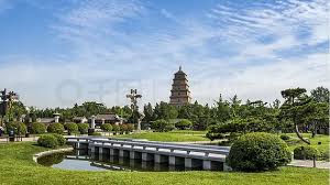 宜兴绿化树交易市场
