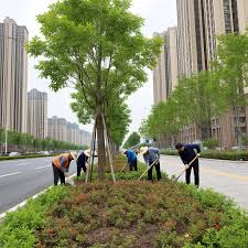 beat365官网 成都市绿化造园建设集团有限公司